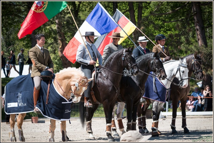 Pferd International 194